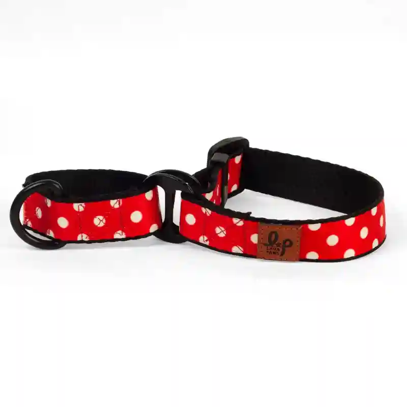 Martingale Dog Collar Red Polka Dots -  Small