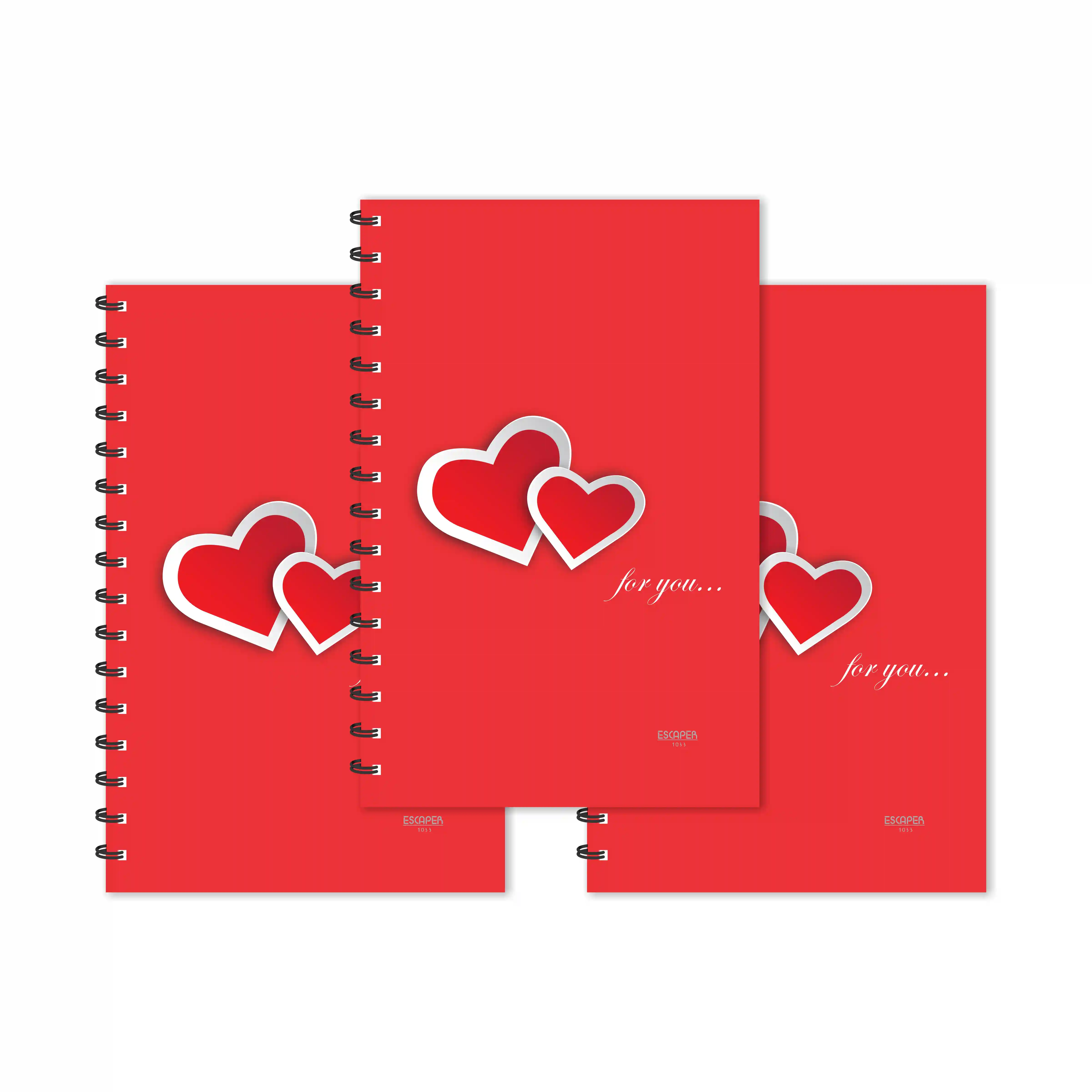 Red Hearts For You Hello Designer Ruled Diaries - Pack Of 3