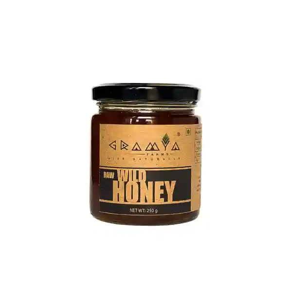 Gramya Farms Raw Unprocessed Wild Honey - 250 Gm