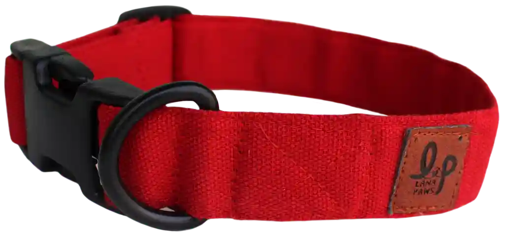 Red Solid Dog Collar Belt - Small