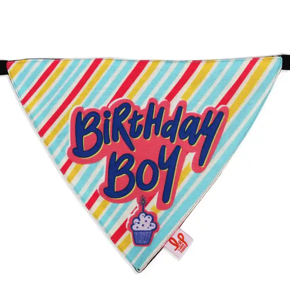 Birthday Boy Bandana Scarf - Small - Medium