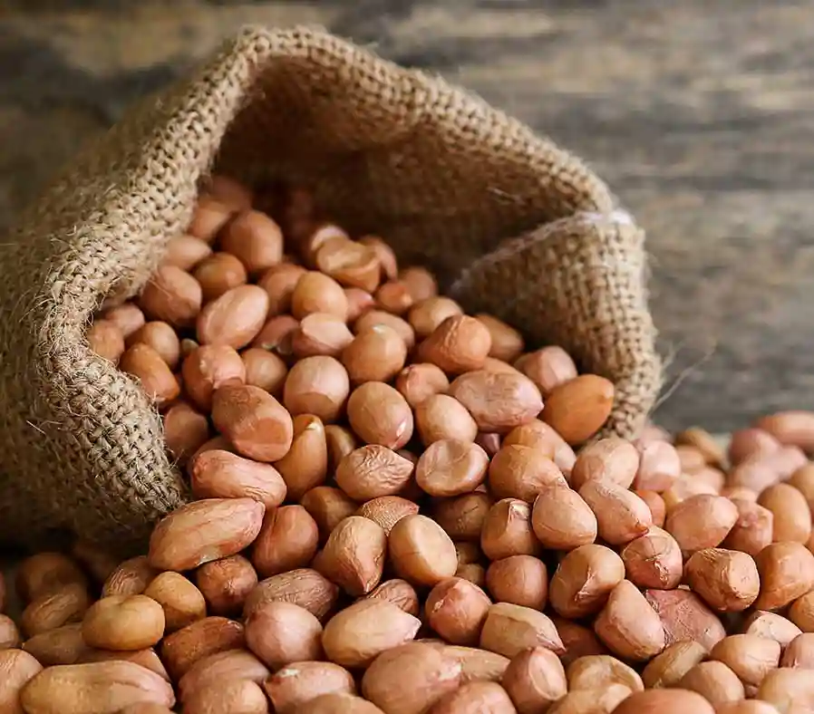 Sujatha Premium Quality Ground Nut