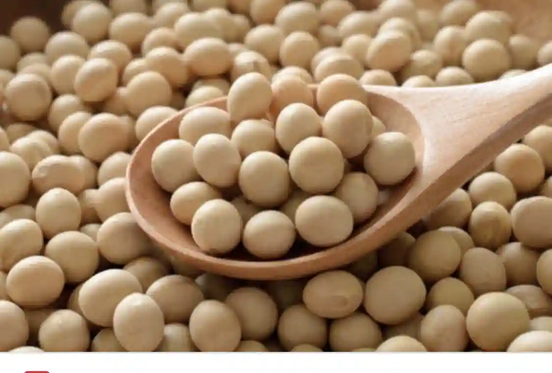 Sujatha Premium Quality White Peas