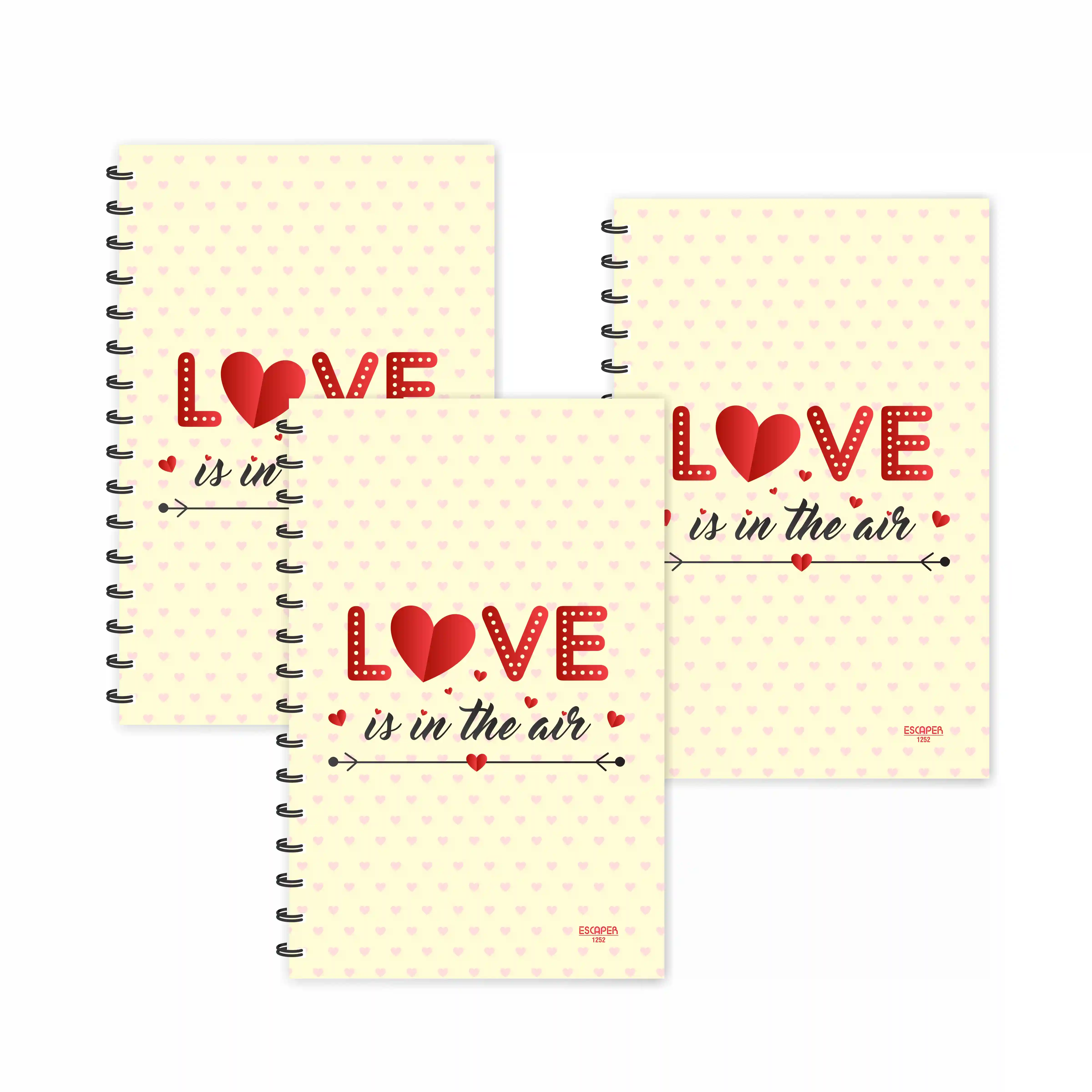 Love Is In The Air Designer Ruled Diaries - Pack Of 3