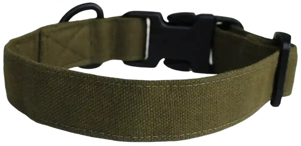 Olive Green Dog Collar Belt - Small