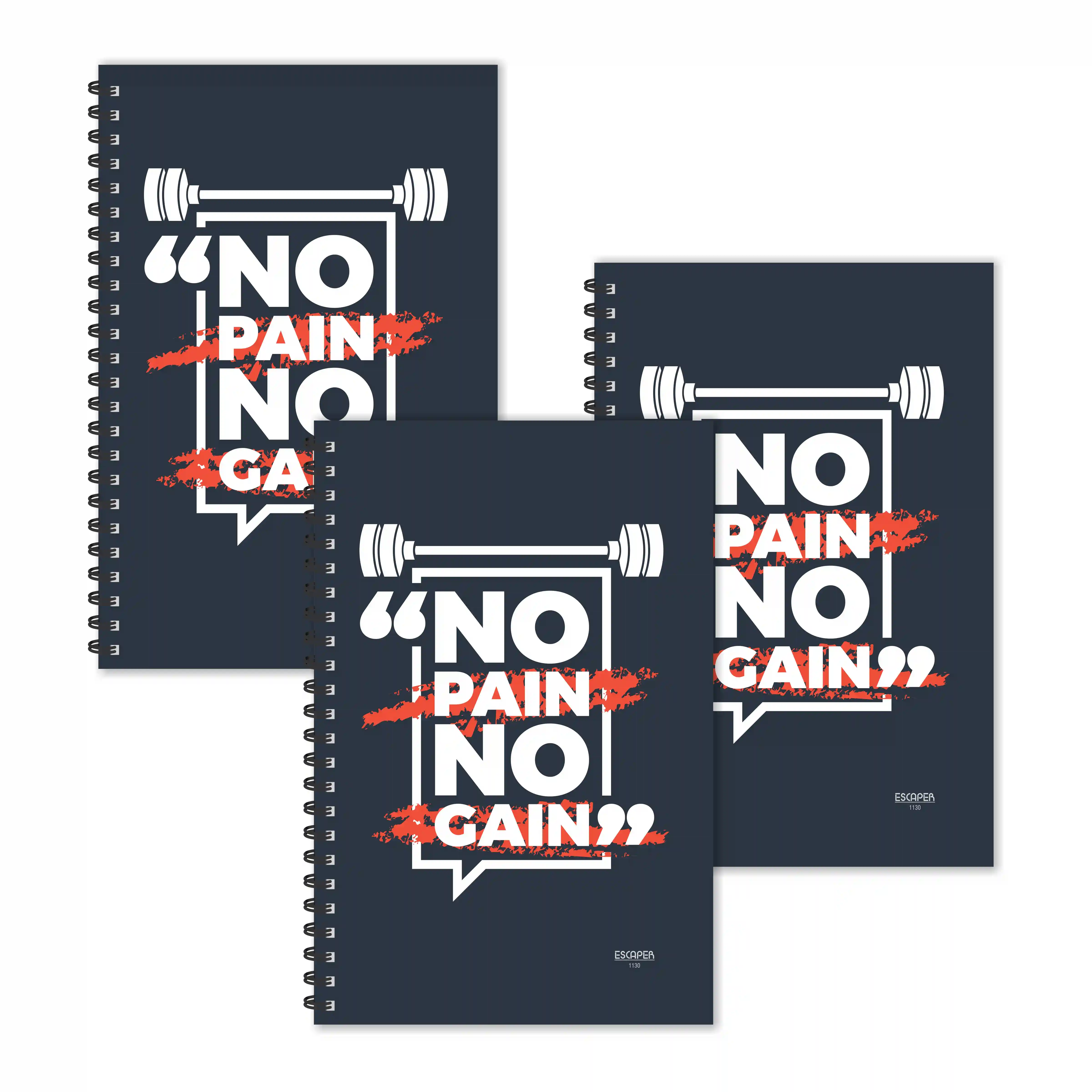 No Pain No Gain Motivational Diaries - Pack Of 3