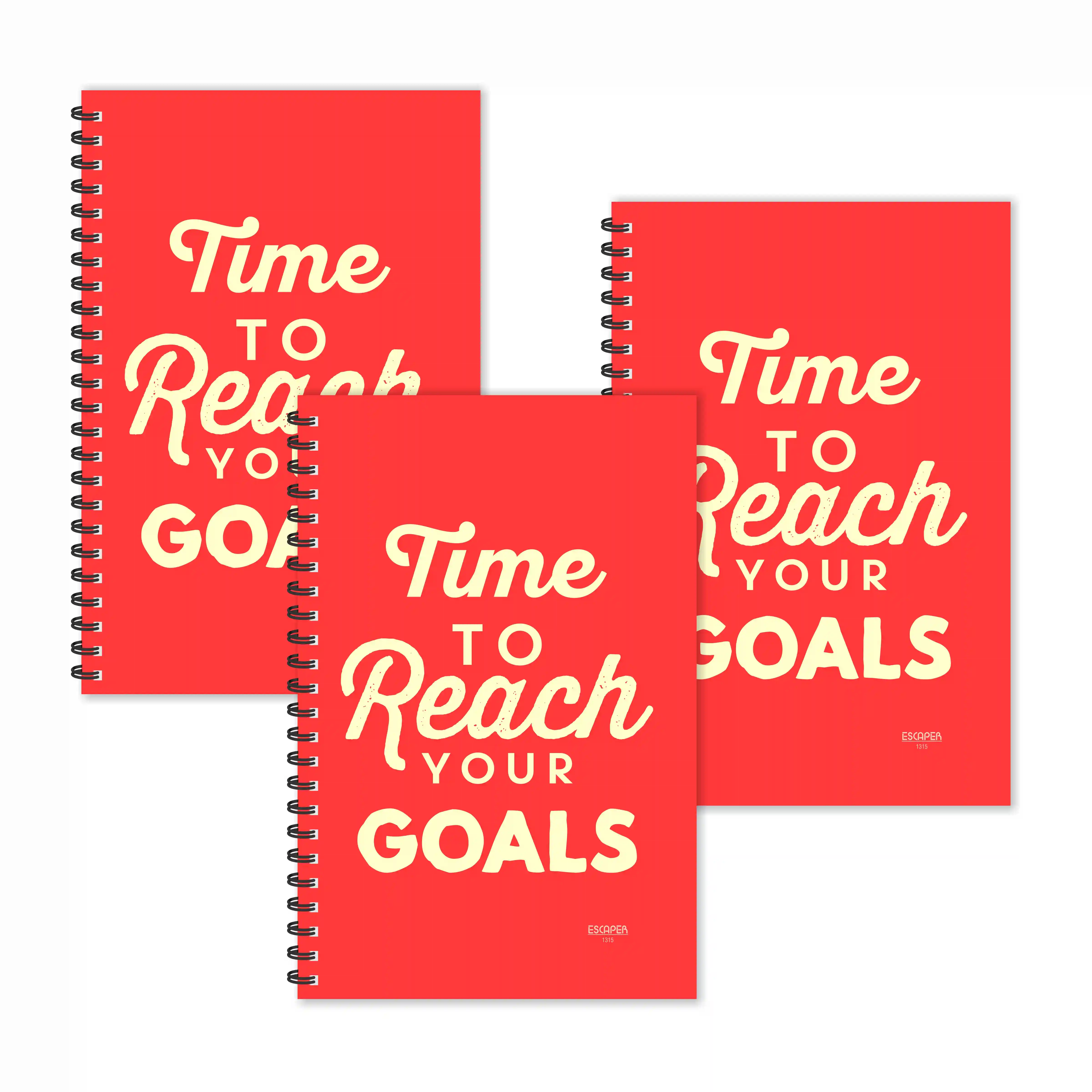 Reach Your Goals Motivational Ruled Diaries - Pack Of 3