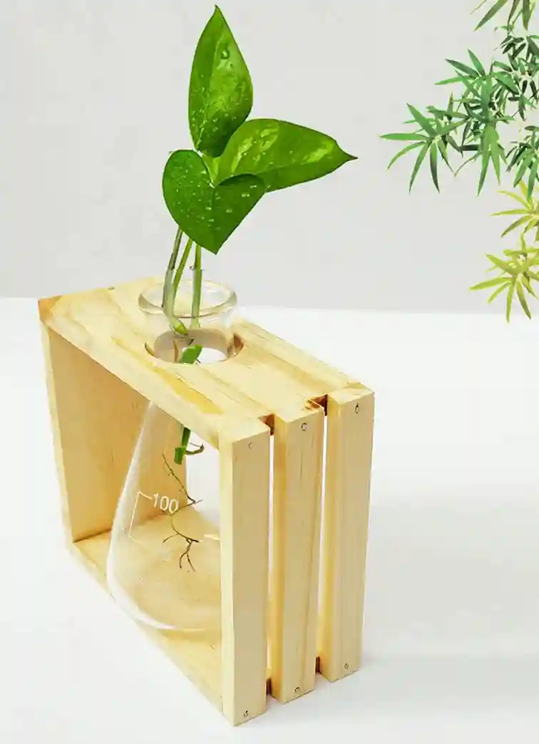 Woodcraft Test Tube Planter for Home Decor