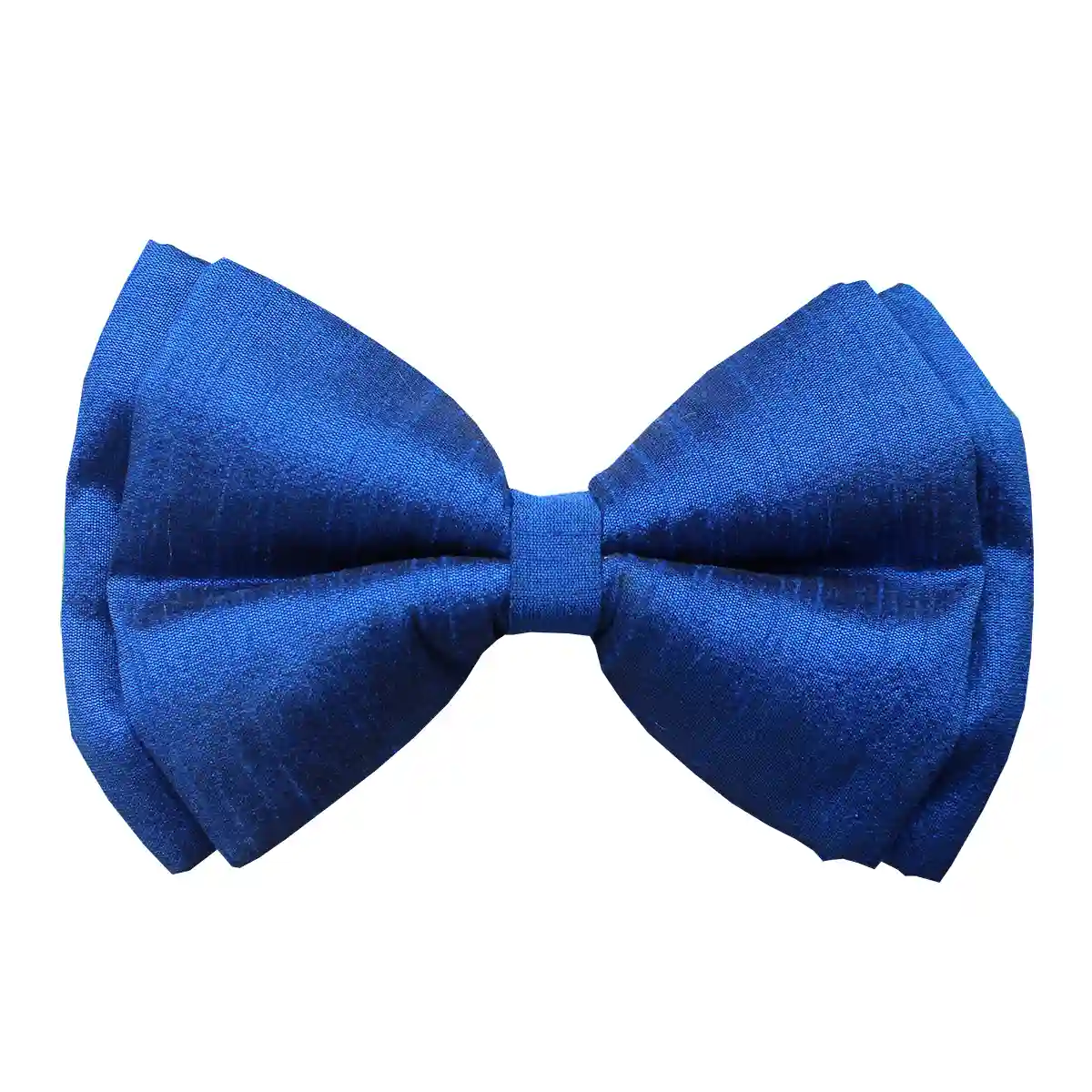 Royal Blue Dog Bowtie - Small - Medium