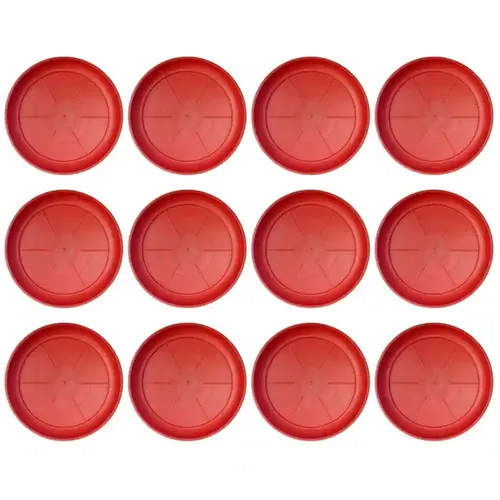 Little Monkey Plastic UV Treated Bottom Tray, 8 inch - 12 Pcs